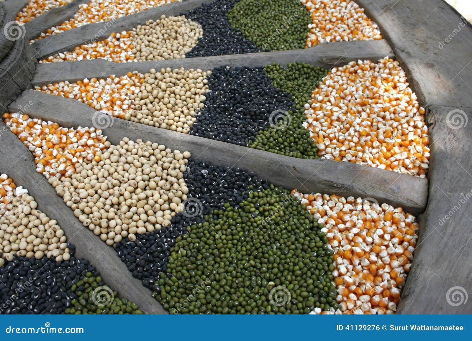 Corn Seeds, Soybeans, Sunflower and Green Beans Stock Photo Image of salted, fiber 41129276