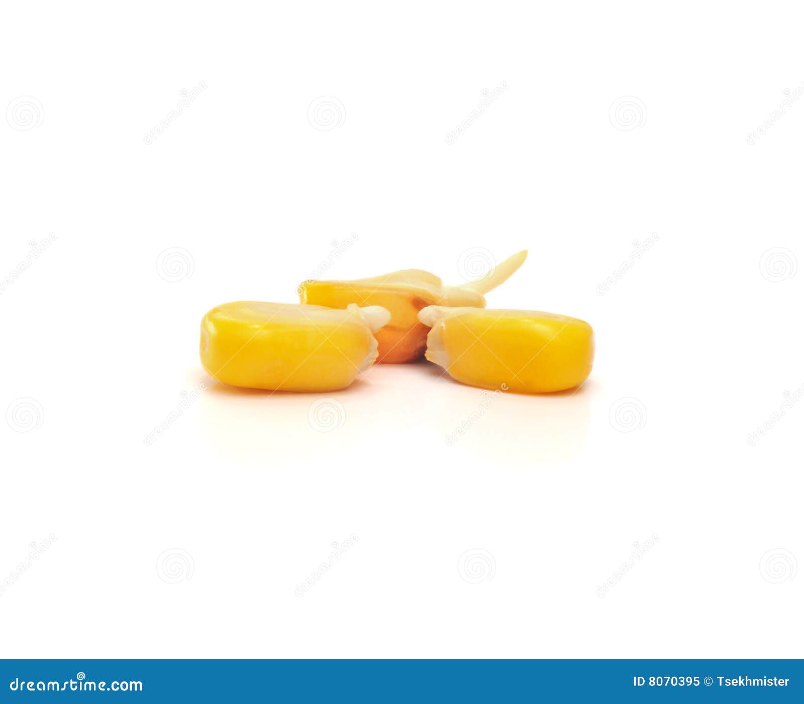 My Image 24