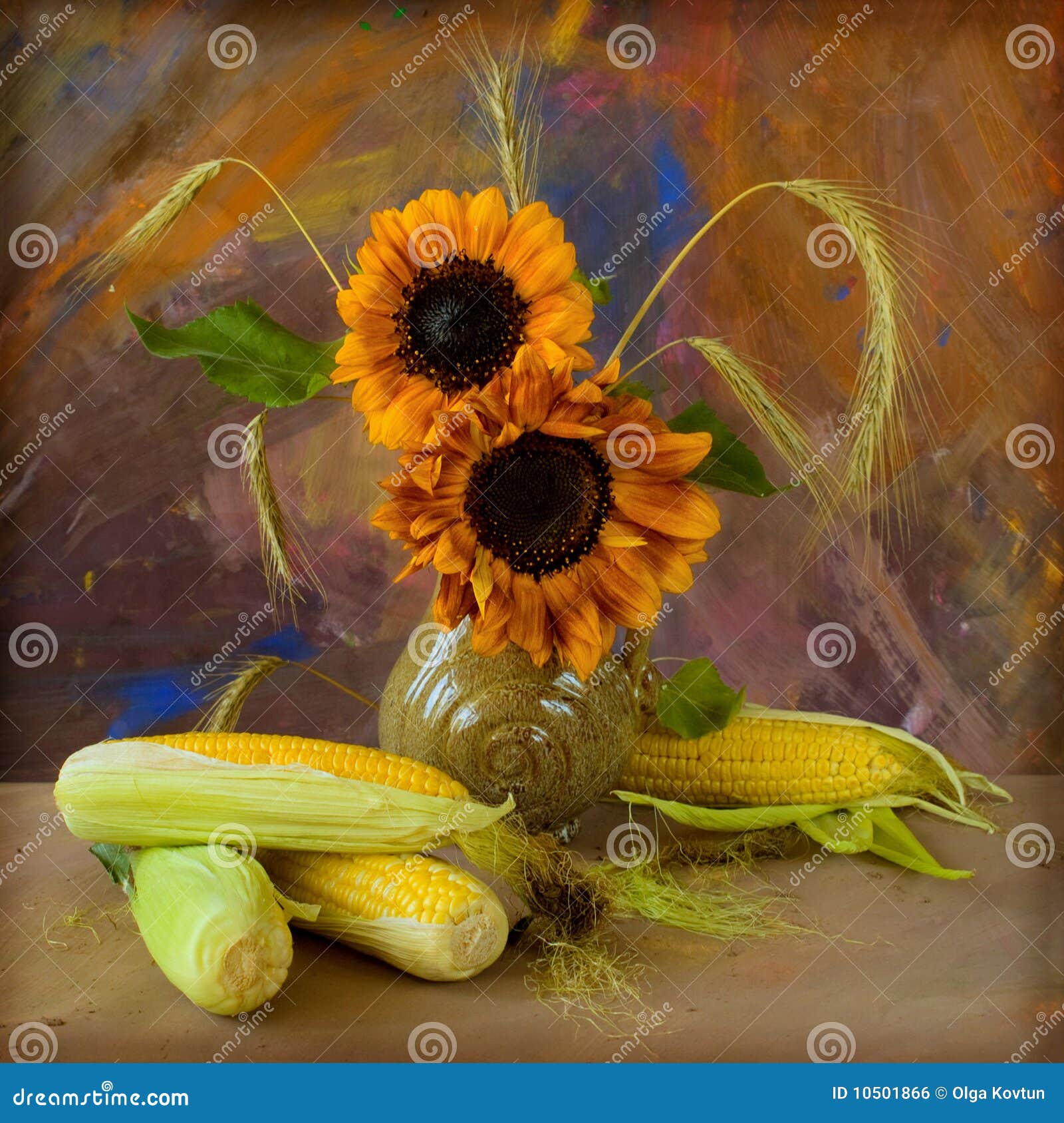 Corn and sunflowers stock photo. Image of cones, composition 10501866