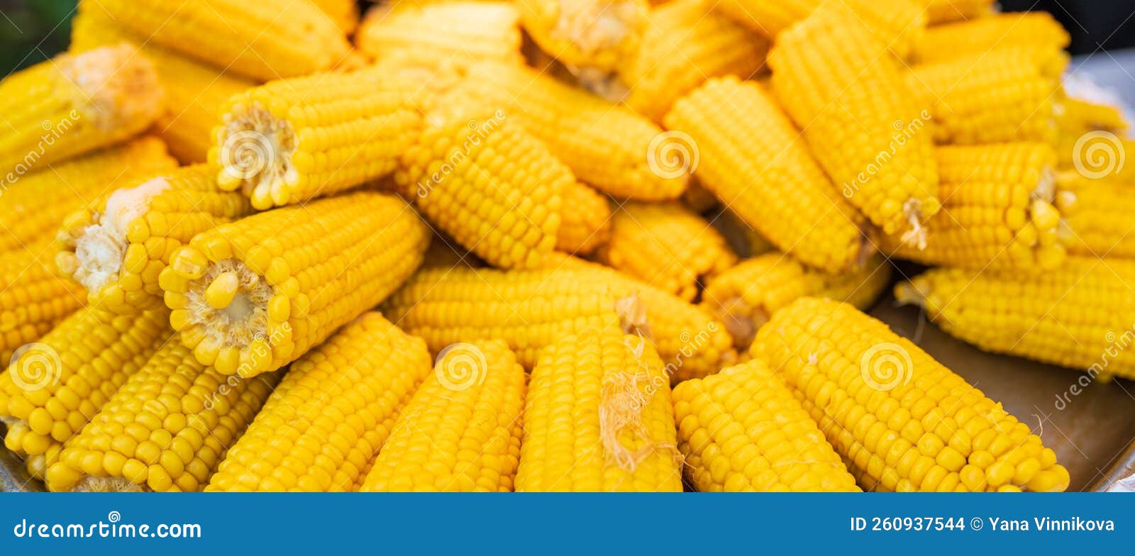 Corn Texture. Yellow Corns As Background Stock Photo Image of bulk