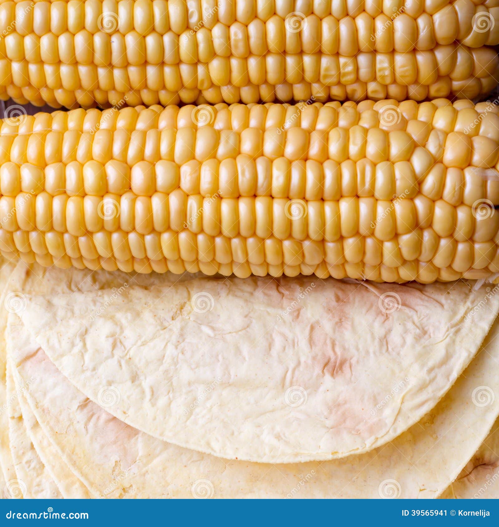 Corn tortillas stock image. Image of snack, grain, mexican - 39565941