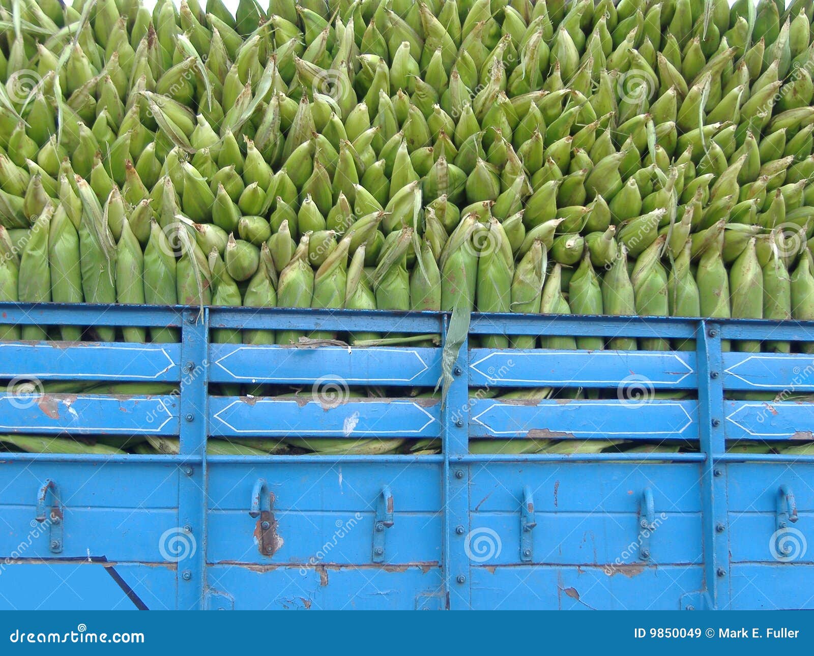 Corn Truck stock image. Image of maize, crop, husk, corn 9850049