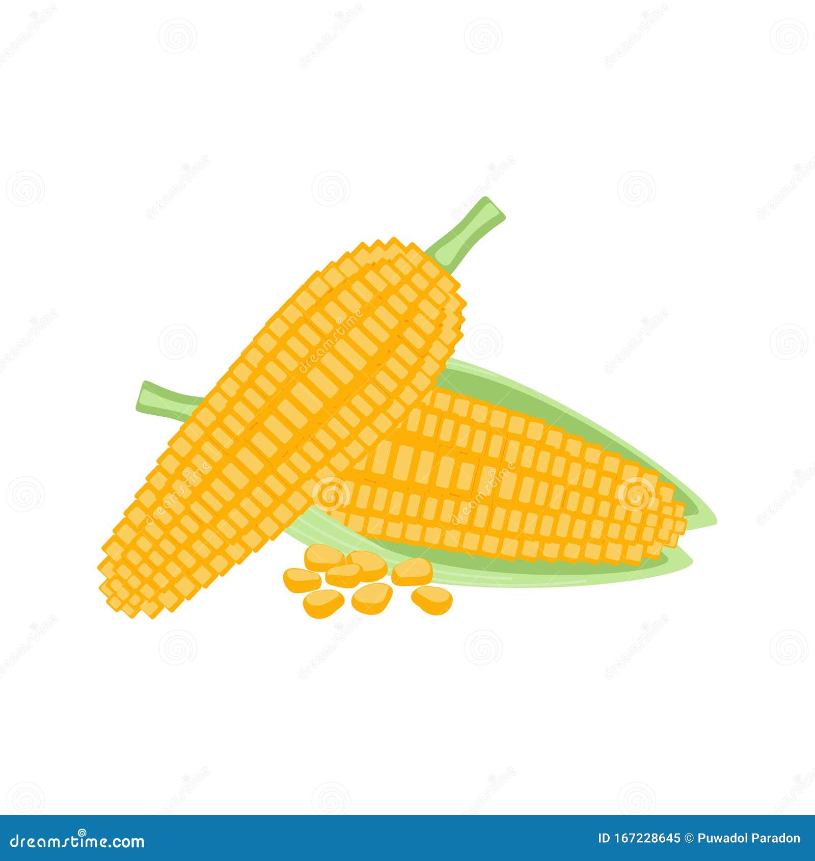 Corn Vector Illustration Design. Corn Isolated on White Stock Vector ...
