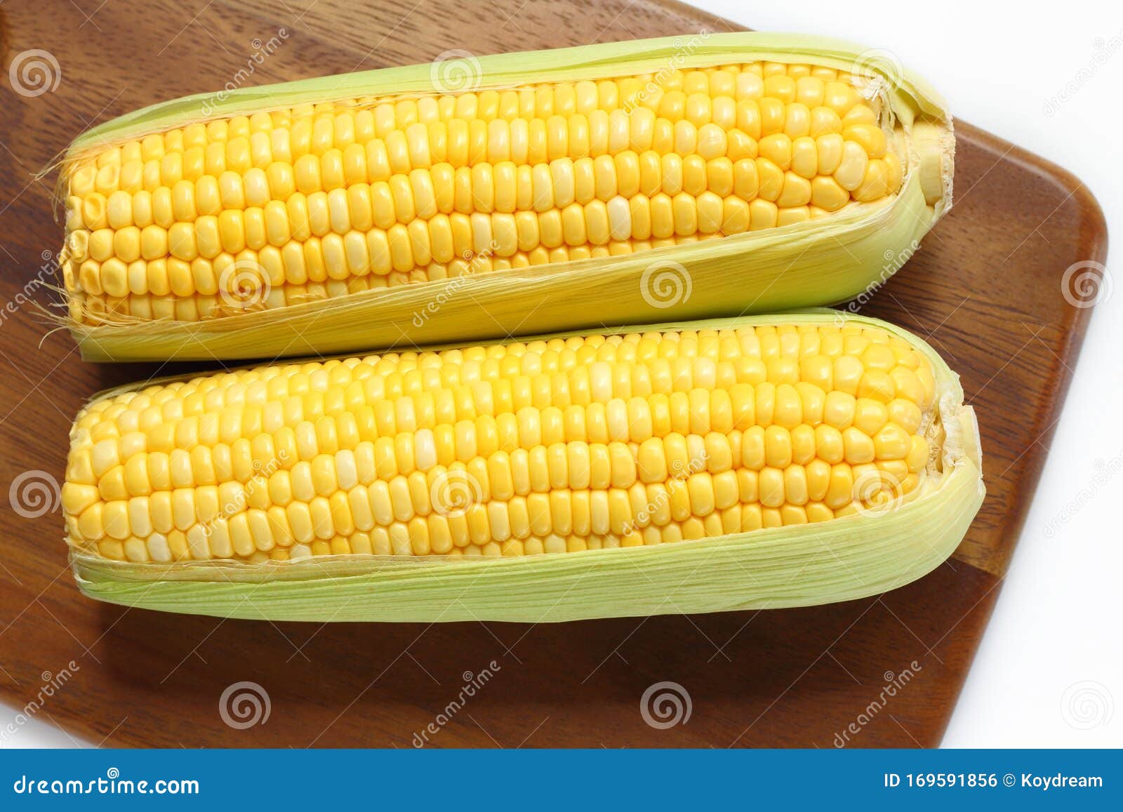 Corn is vegetable food stock photo. Image of gourmet 169591856