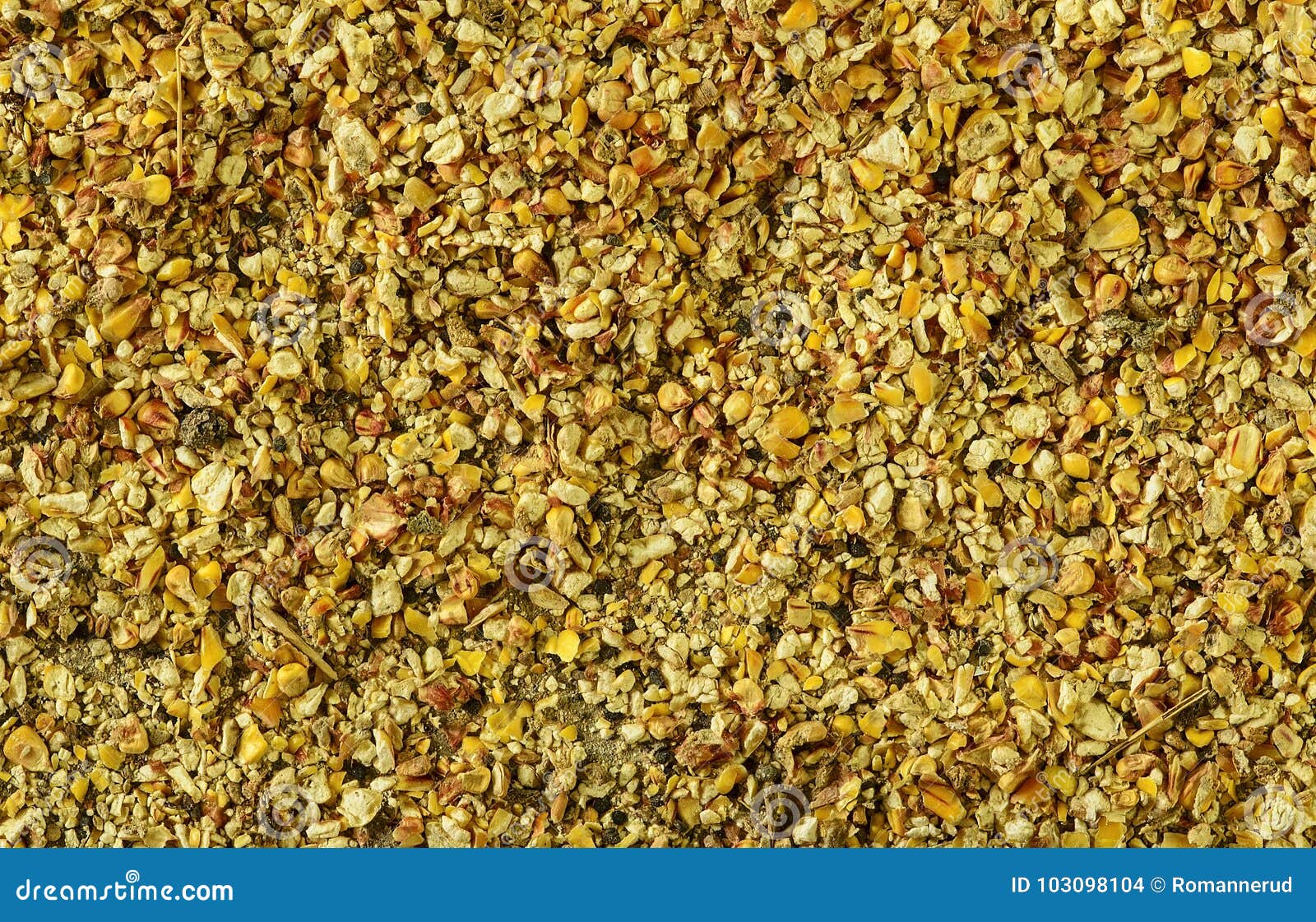corn waste and chaff. indian corn. closeup. background. macro image can be used as background.