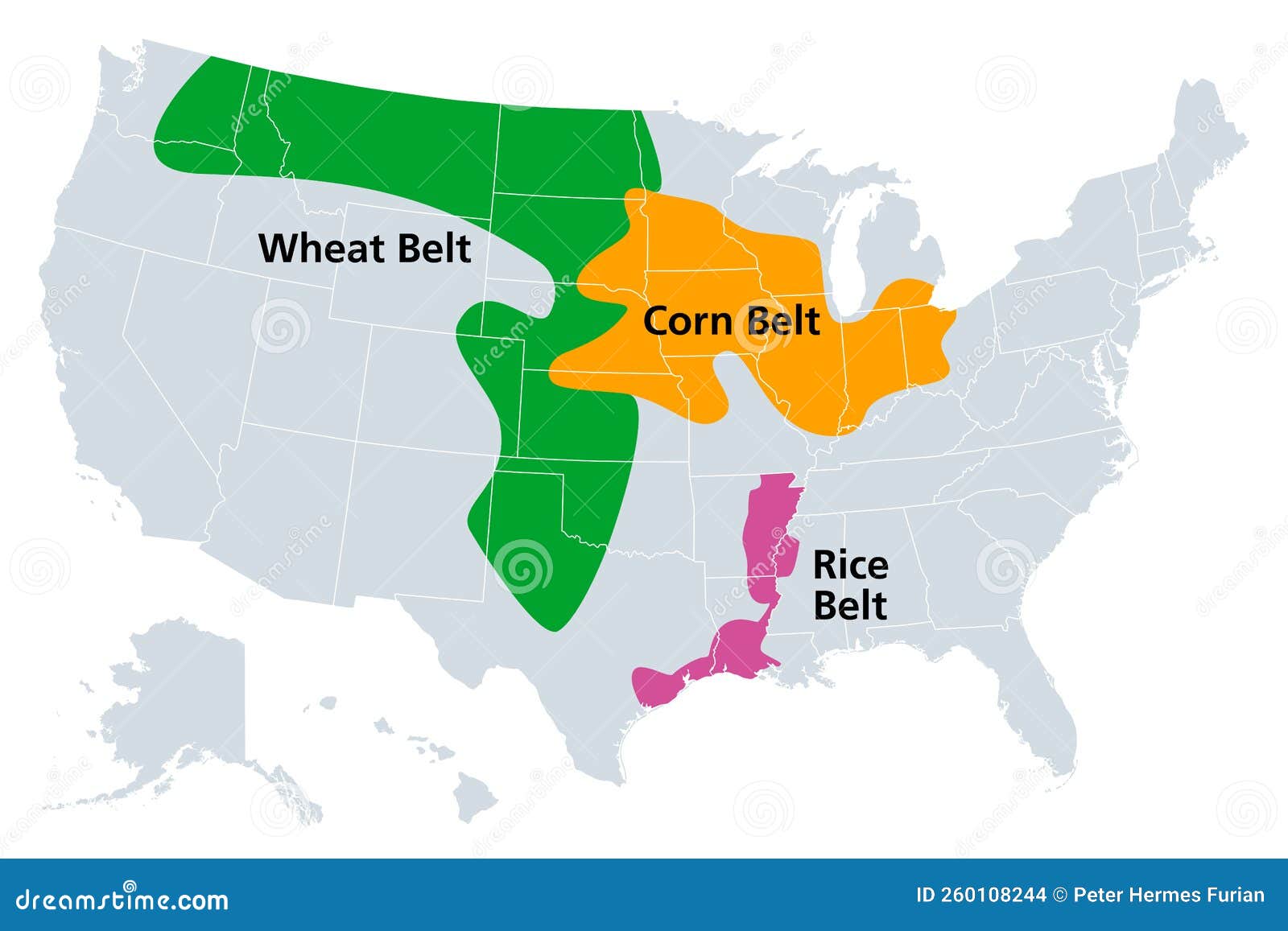 Sun Belt Of The United States Region Of The Southernmost States Map grain-s-anatomy-learn-eat-wheat
