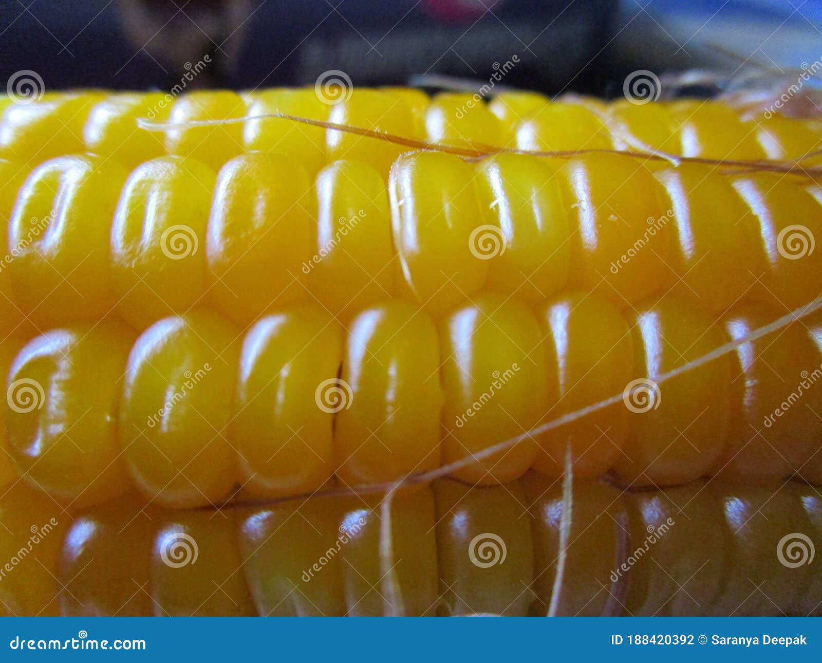 Corn , Yellow Corn, Well Seeded Popcorn Seed, Popcorn Ingredients Stock