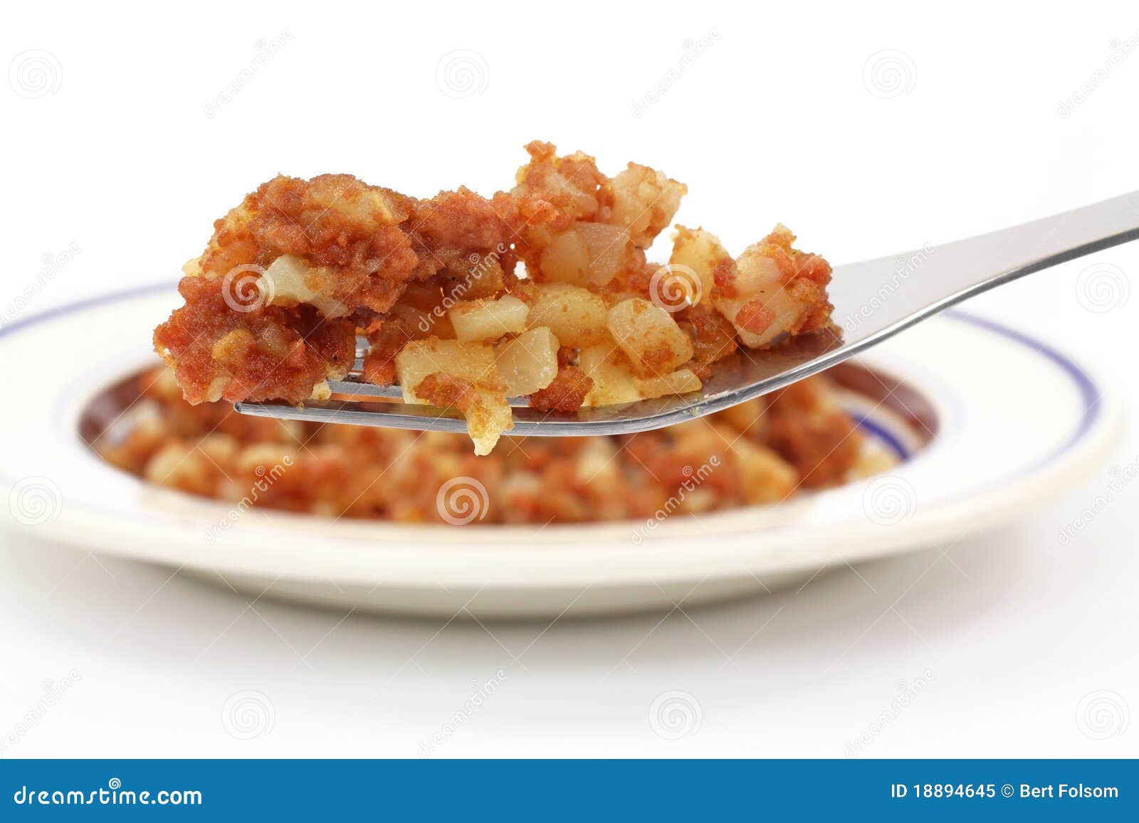 Corned beef hash on fork stock image. Image of unhealthy 18894645
