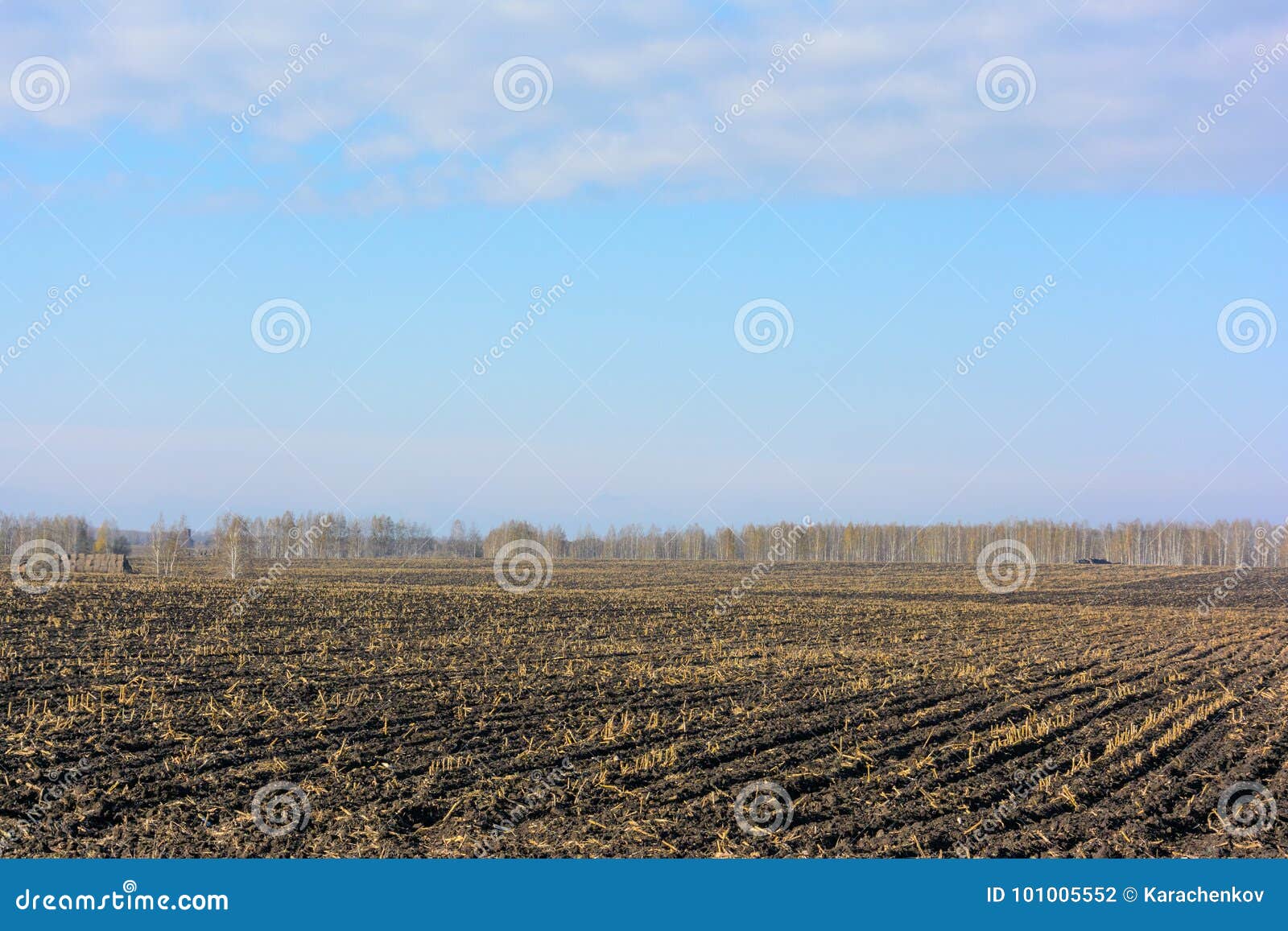 corned harvest inhospitable field landscape