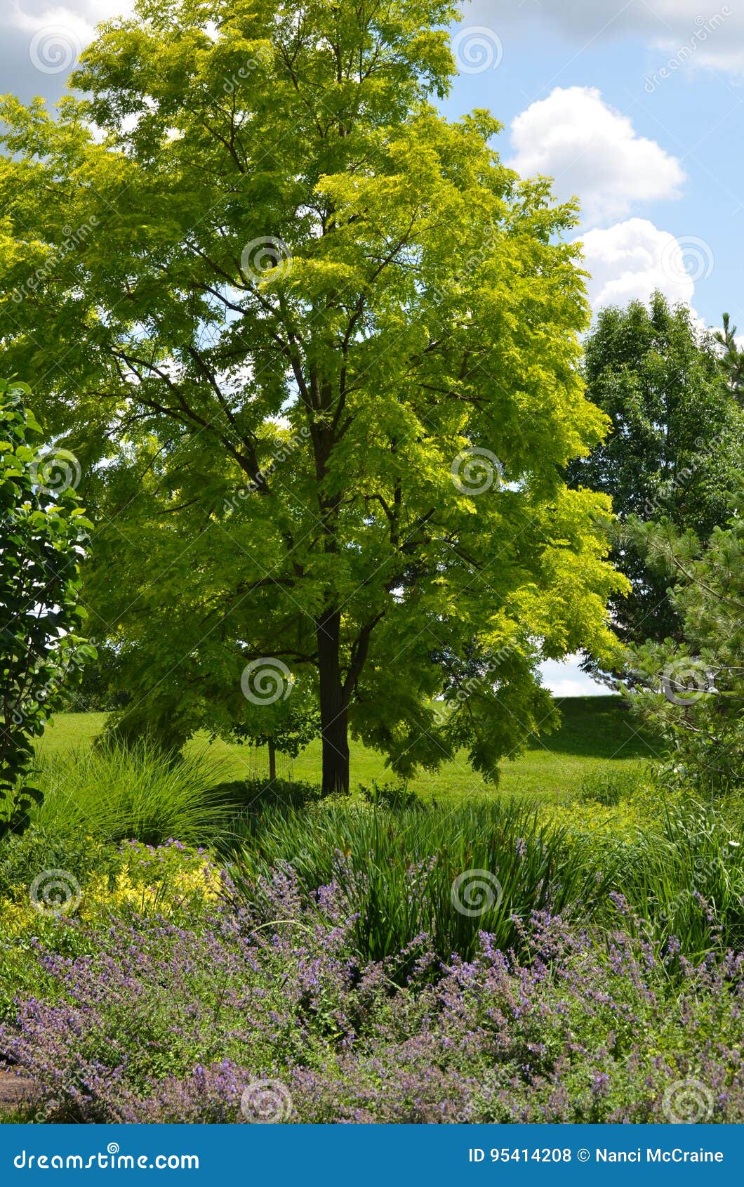 Cornell Botanical Gardens Upper Drive Garden Stock Photo Image