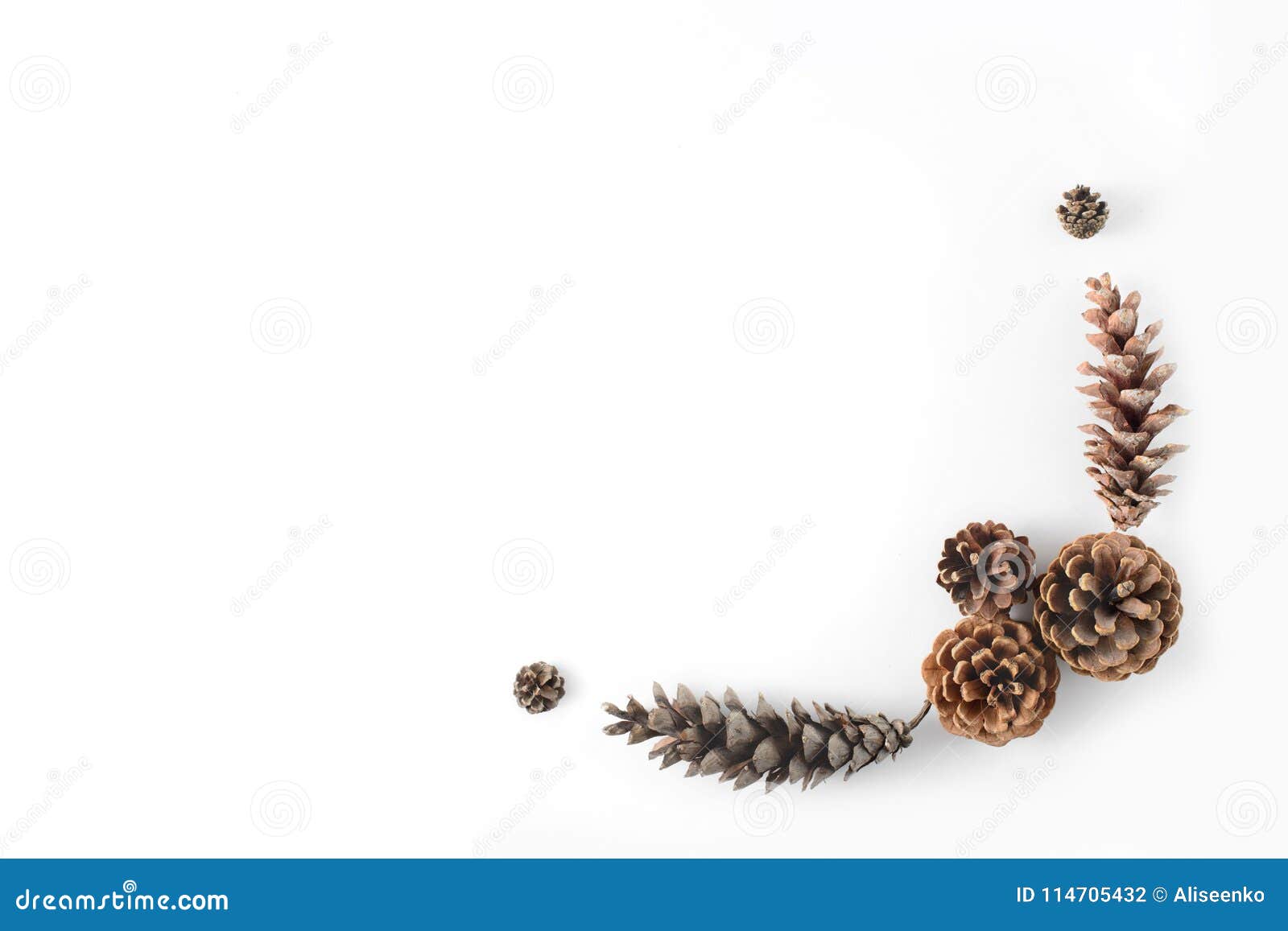 Corner Frame Made of Cones Various Coniferous Trees Isolated on White