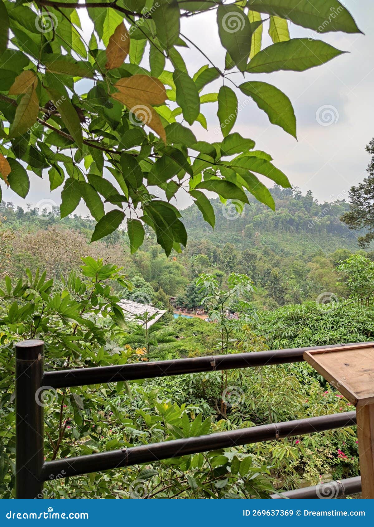 In the Corner of the Green Mountain Hill Stock Image Image of