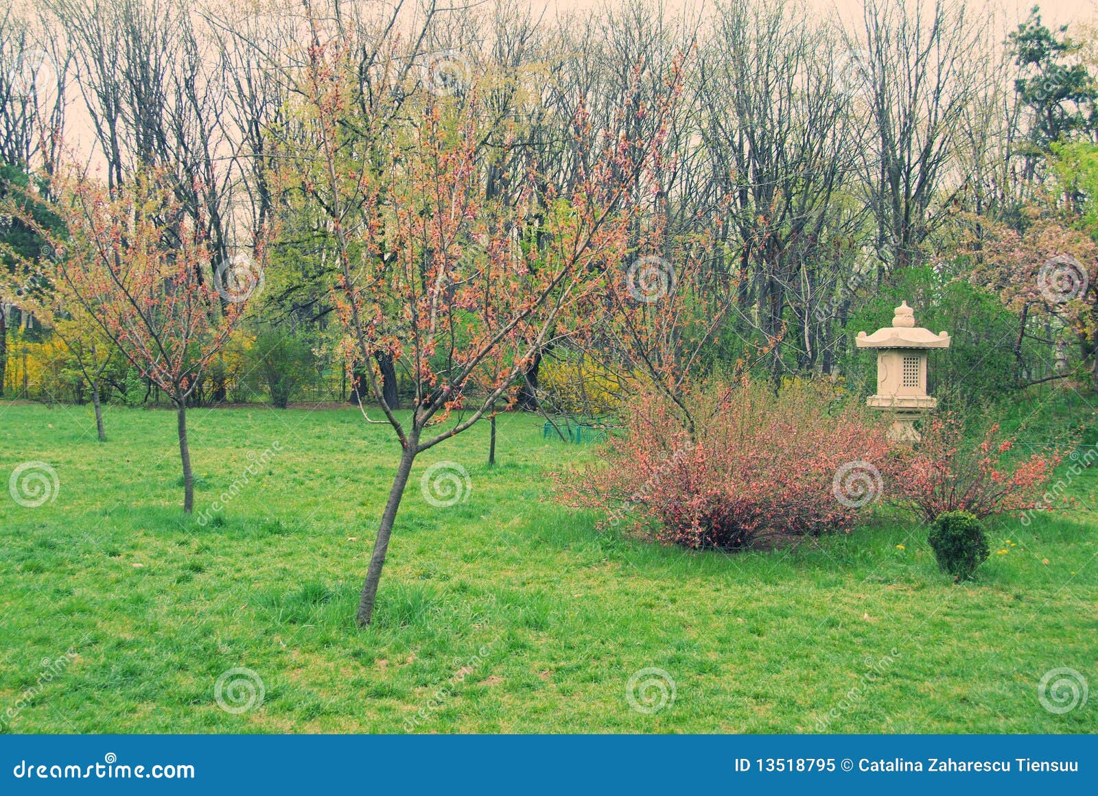 Corner of japanese garden stock image. Image of chaenomeles 13518795