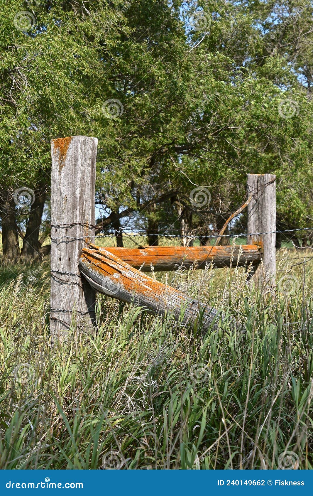 A Corner Fence Post Surrounded by Long Grass Stock Photo - Image of post,  brace: 240149662, image size:1067x1690