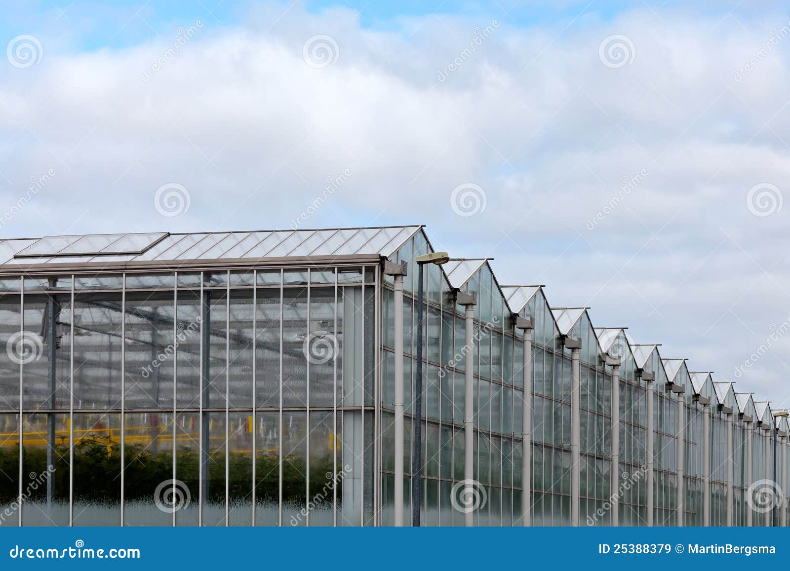 Corner View of a Greenhouse Stock Image Image of glasshouse