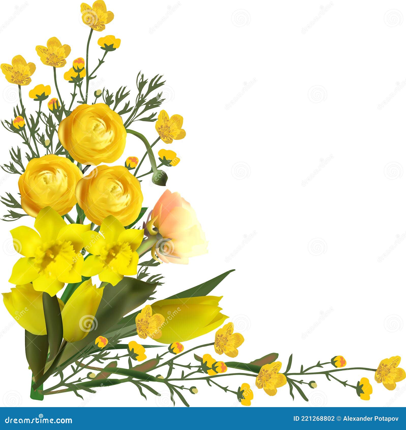 Corner of Yellow Flowers Isolated on White Stock Vector ...