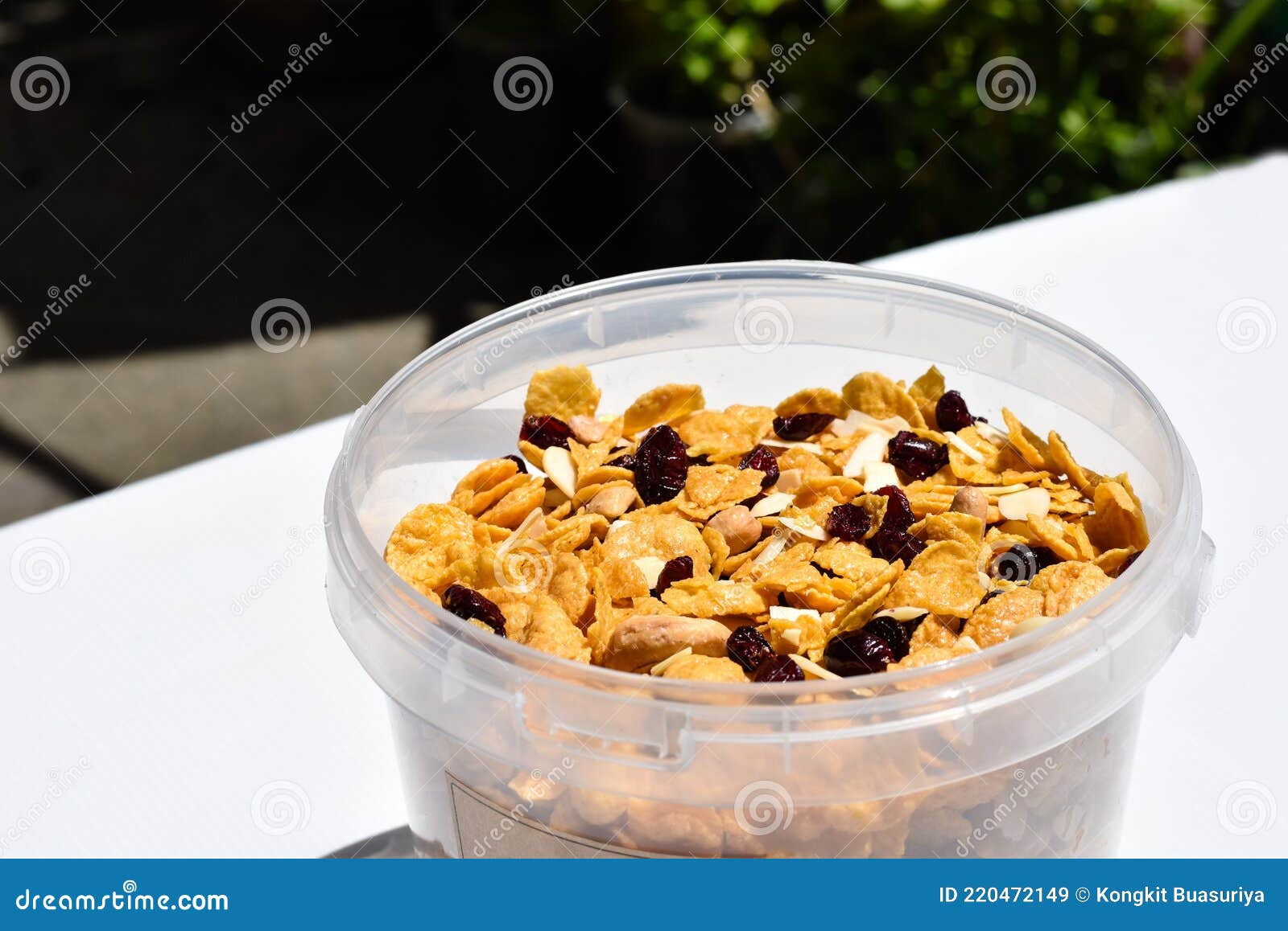 Cornflake and Grains in the Cups Stock Image Image of deserts