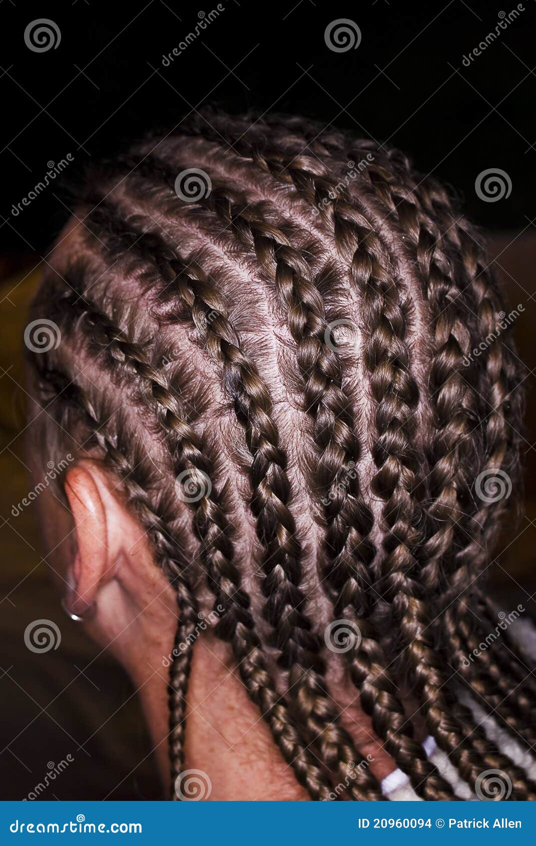 Cornrow Braids - Rear View Stock Images - Image: 20960094