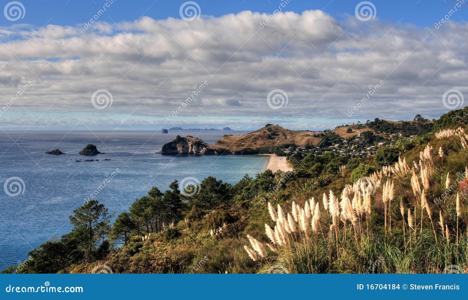 Coromandel Coast stock photo. Image of rural, peninsula 16704184