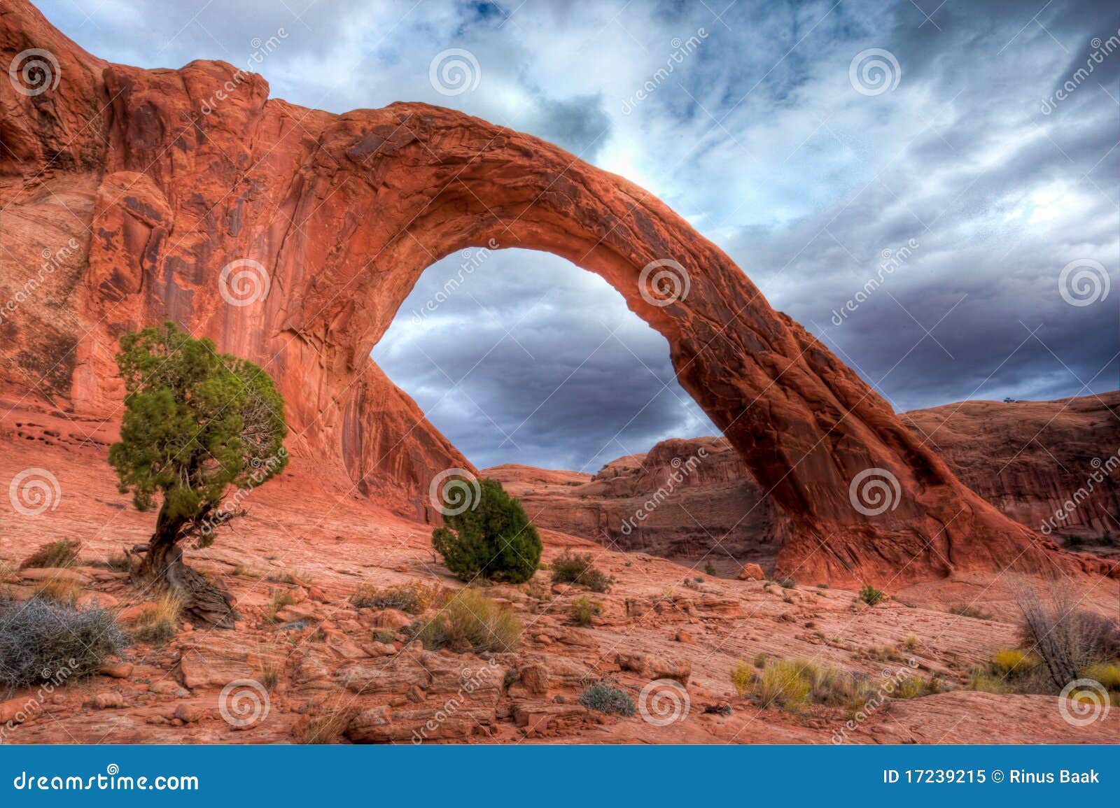 corona arch