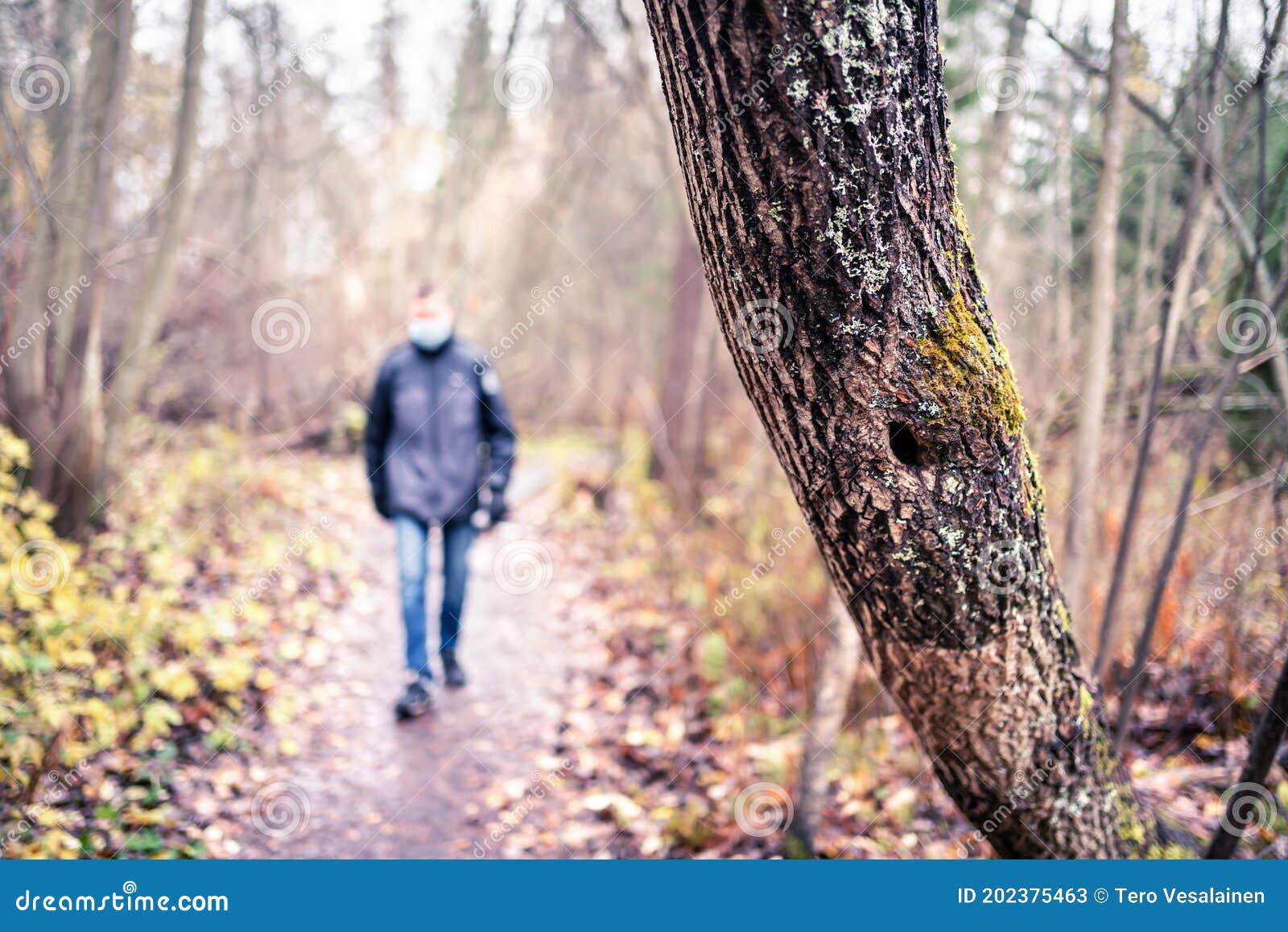 Corona Depresión Ansiedad Y Concepto De Distanciamiento Hombre Solitario Y Triste Caminando Solo En El Bosque Dura Imagen de archivo Imagen de bosque, persona: 202375463