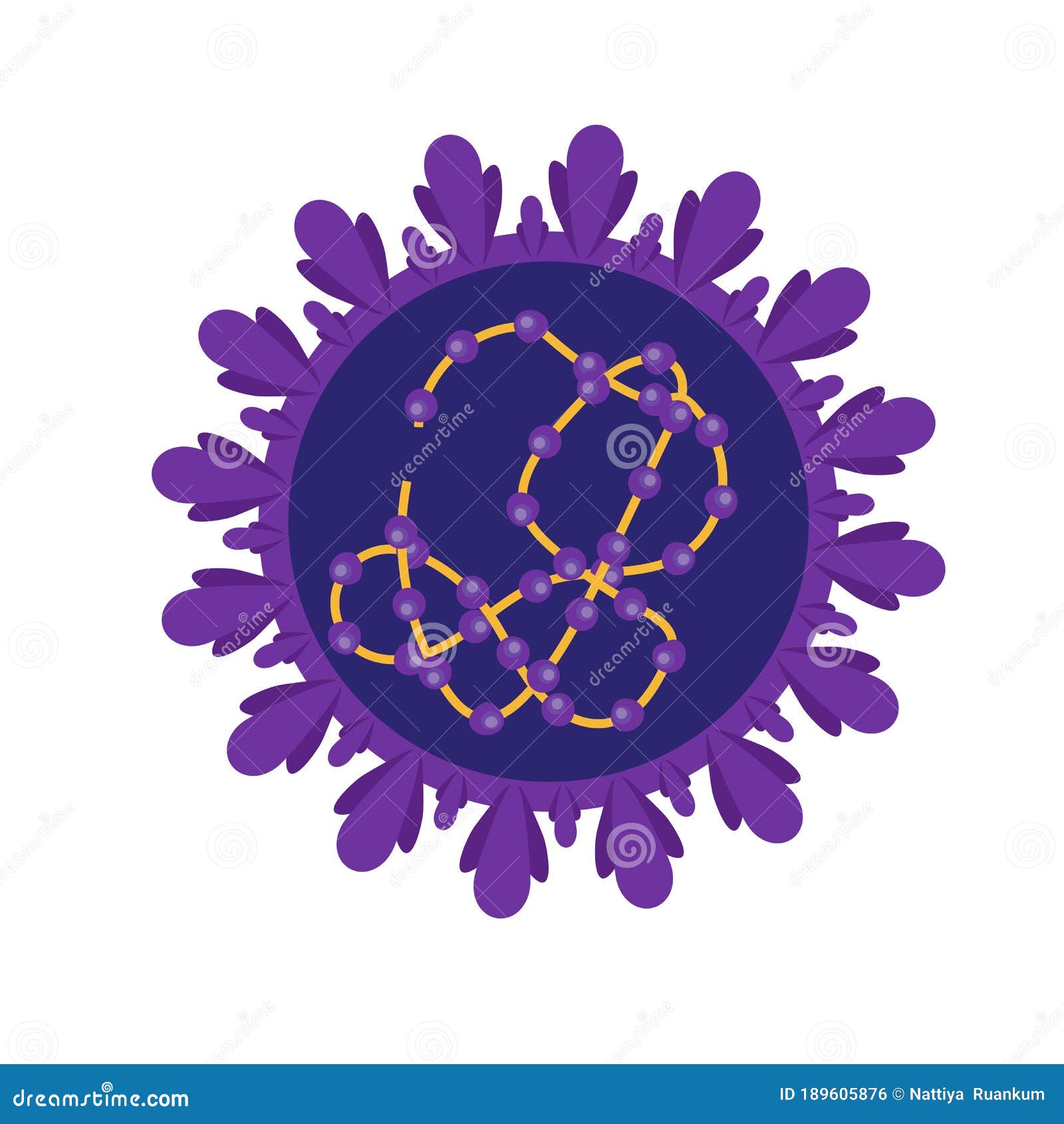 coronavirus cell structures and anatomy. labeled with morphology of proteins, ribosomes, rna, and cell envelope, cover-19