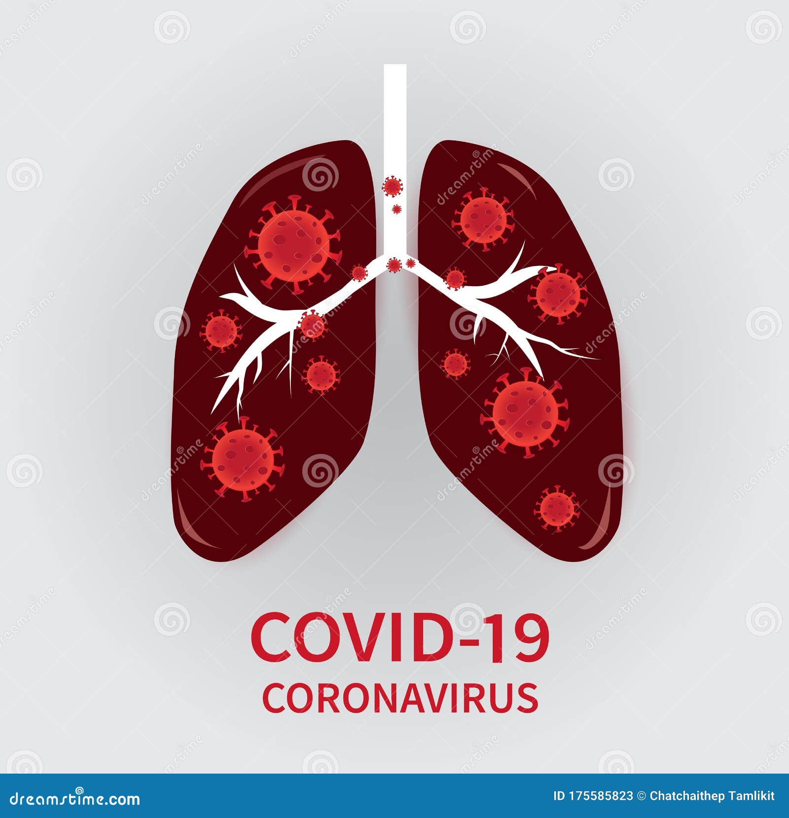coronavirus covid-19 to spread into the cells of the airways and lungs.