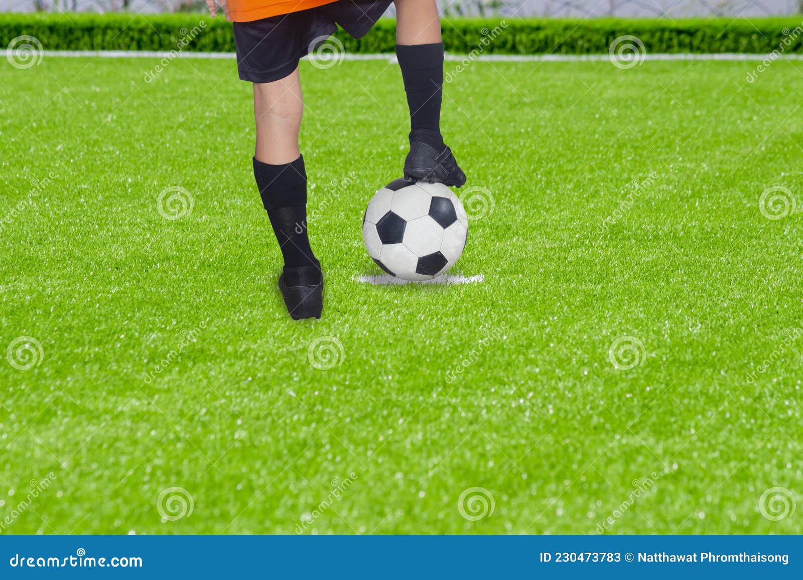 Imagem gratuita: bola, jogo, bola de futebol, grama, futebol, couro, futebol,  desporto, campo, recreação