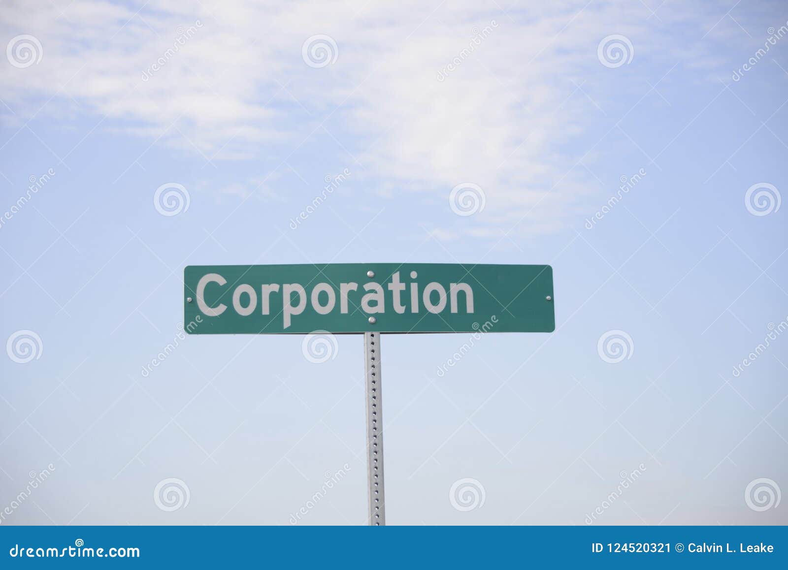 corporation for profit