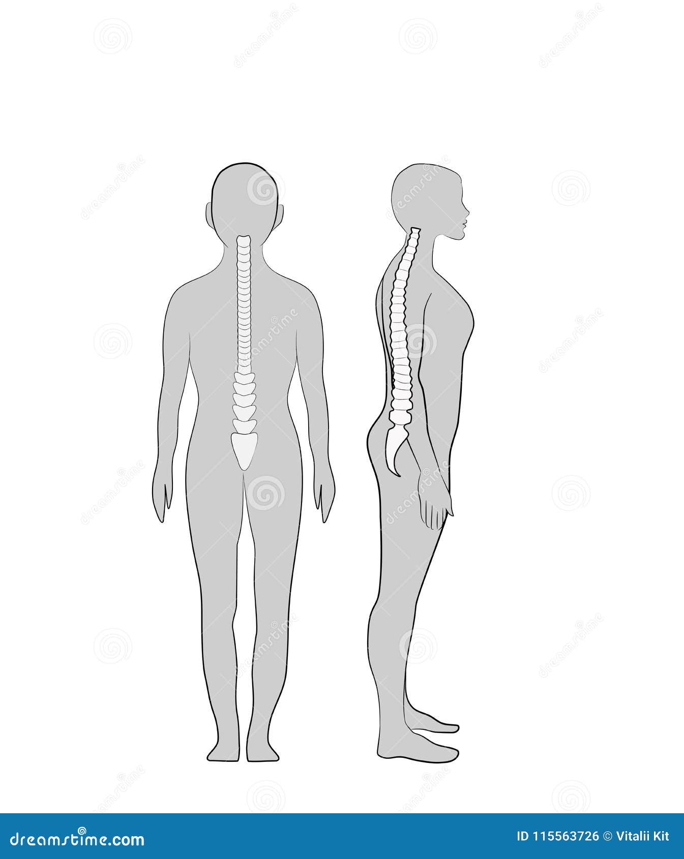 Correct Alignment of Human Body in Standing Posture for Good ... Biology Diagrams