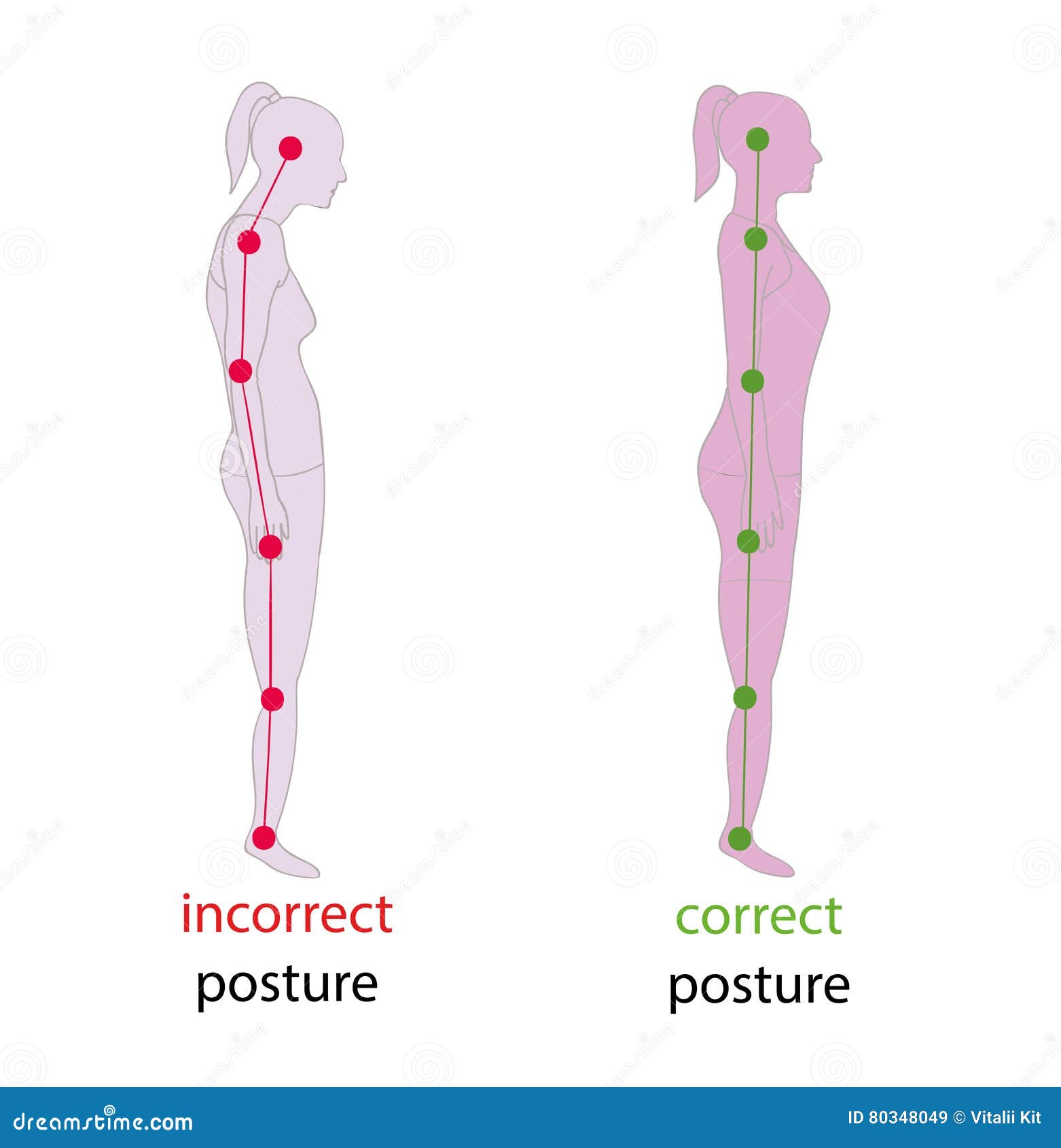 Correct Alignment of Human Body in Standing Posture for Good Personality  and Healthy of Spine and Bone. Health Care and Medical Il Stock  Illustration - Illustration of abdominal, bone: 80348049