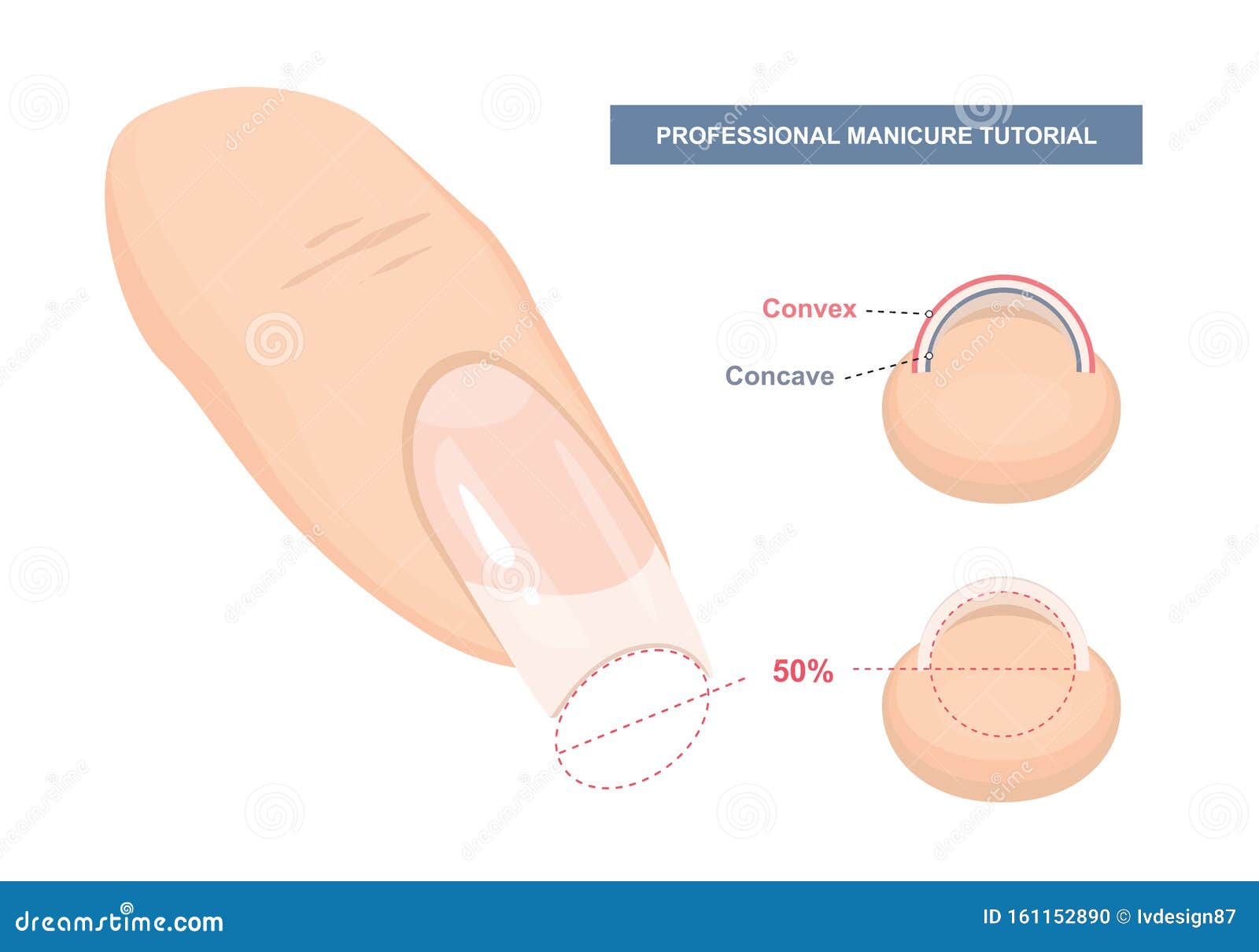 Nail Extension Guide Stock Illustrations – 68 Nail Extension Guide Stock  Illustrations, Vectors & Clipart - Dreamstime