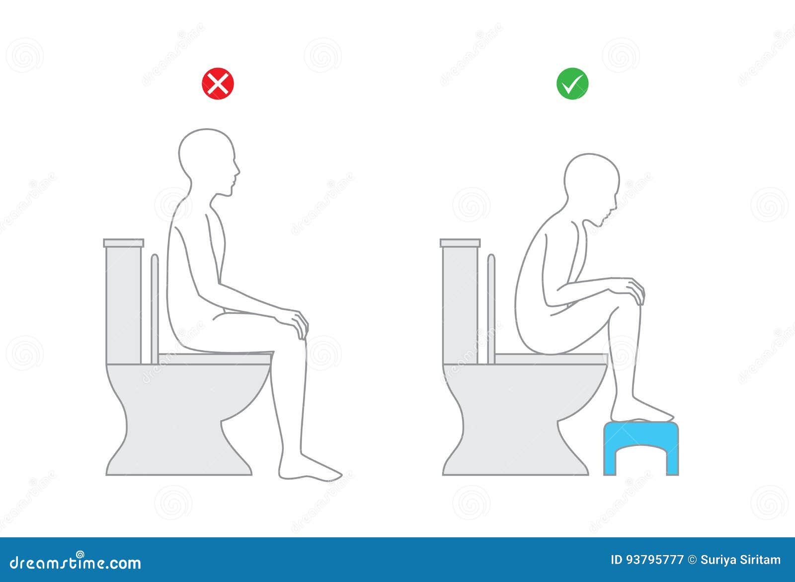 Correct Posture When Sitting On Toilet Seat For Healthy Stock