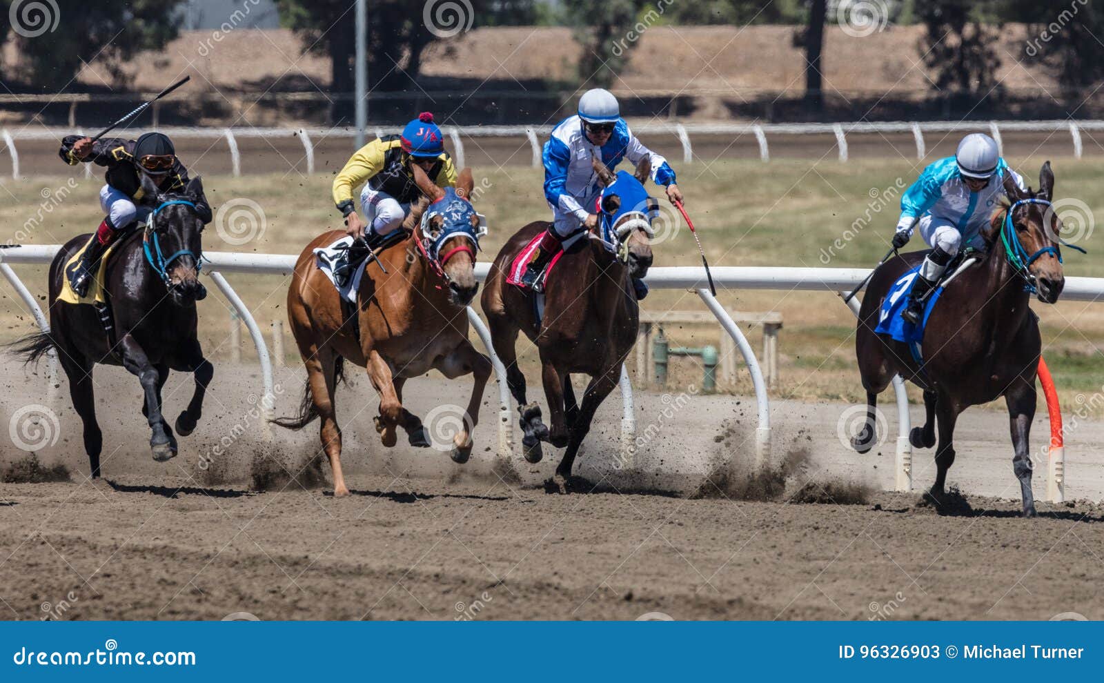 Corrida de Quatro Cavalos foto de stock editorial. Imagem de puro - 96326903