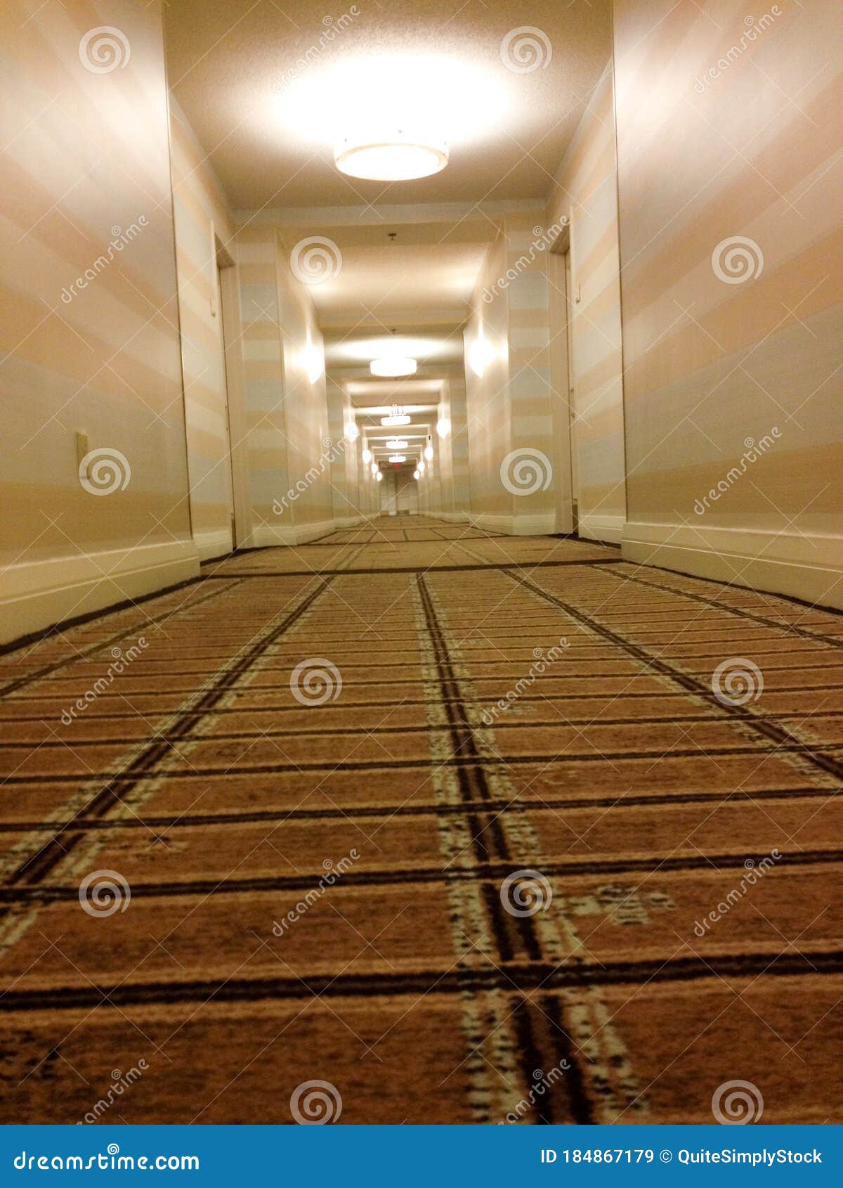 Corridoio in Prospettiva Lungo Il Corridoio Hotel Immagine Stock - Immagine  di decorazione, costruzione: 184867179