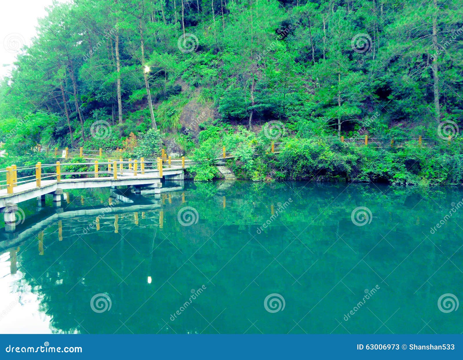 Corridor in forest park stock image. Image of lake, lishui - 63006973
