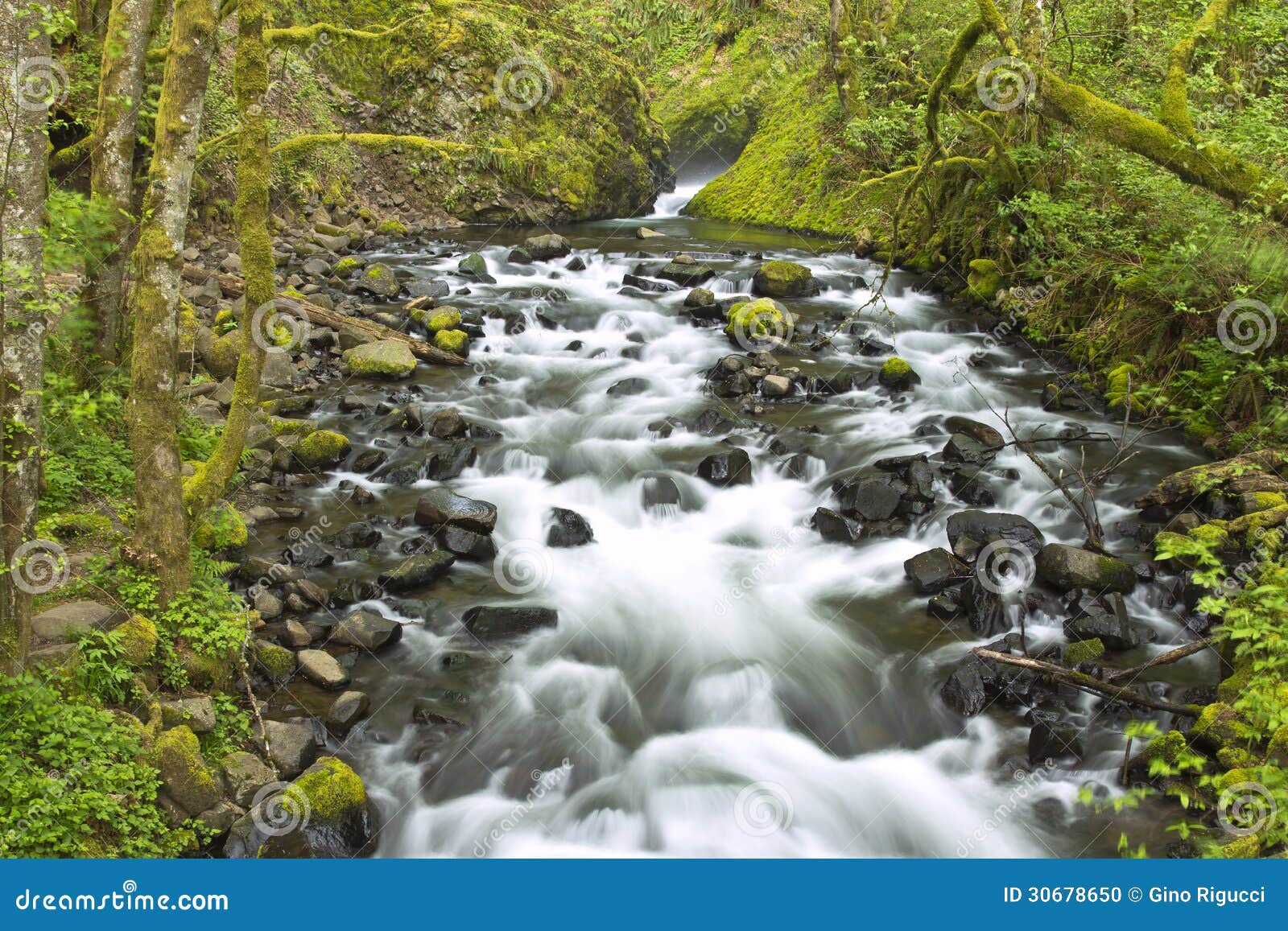 Corriente del agua dulce. foto de archivo. Imagen de plantas 30678650