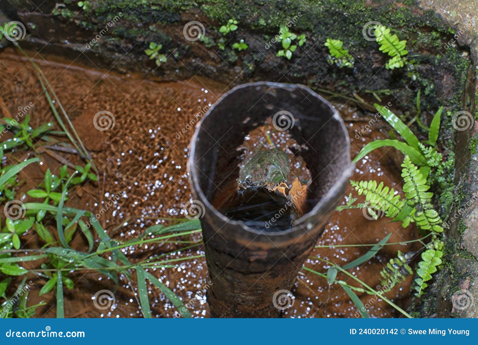Corroded Water Pipe Leaking Onto the Ground Stock Photo Image of outdoor, decay 240020142