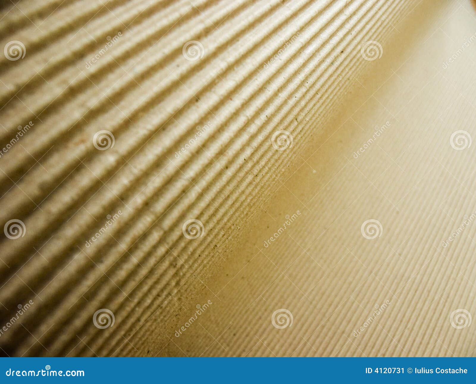 Close-up of corrugated cardboard, showcasing its texture and pattern.