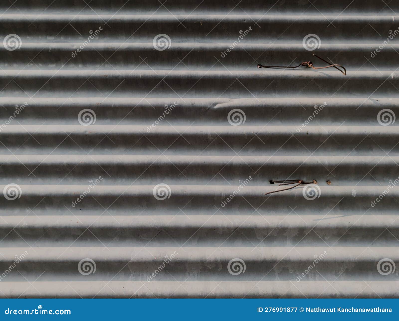 Corrugated Metal Sheet with Rusty Nails. Background and Texture. Stock