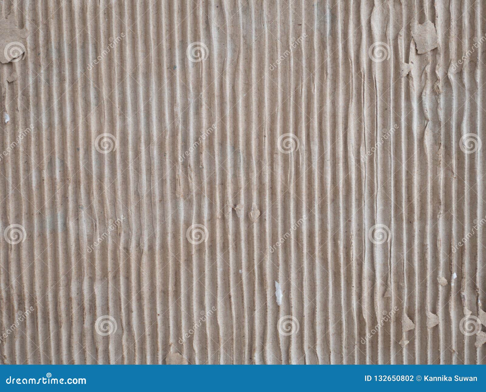 corrugated paper pattern for background and design