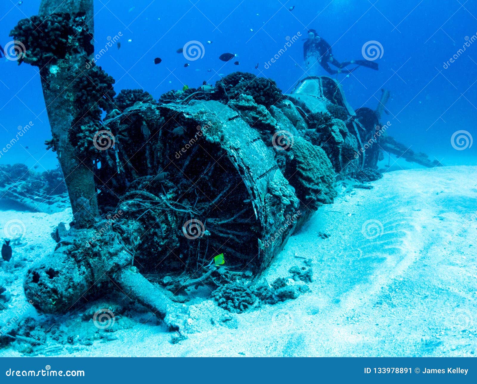 corsair plane wreck from world war 2 - scuba diving in oahu, hawaii