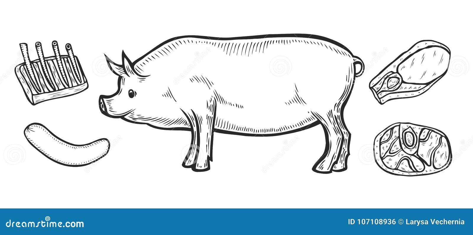 Cortes Del Jamon De La Carne De Cerdo Ilustracion Del Vector