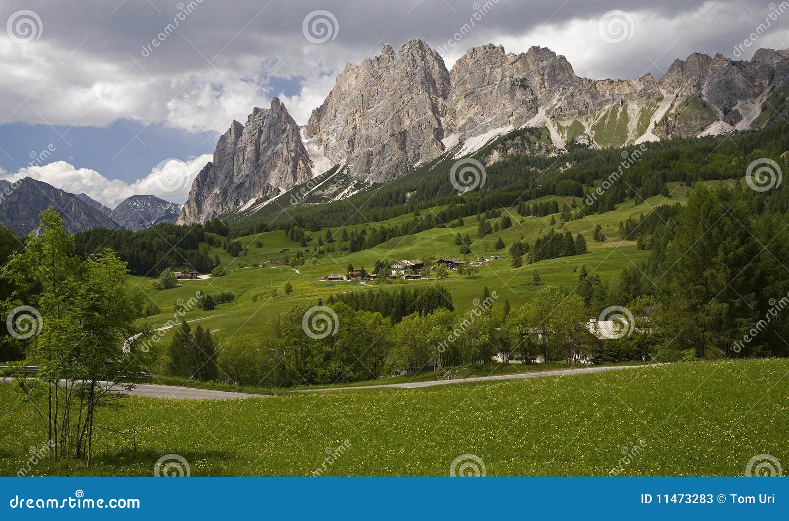 cortina