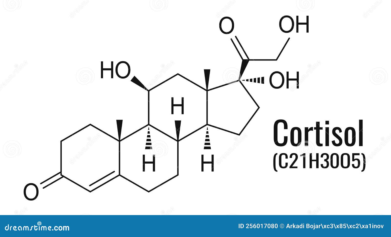 Cortisol Molecule Vector Chemical Formula CartoonDealer 256017080 cortisol-molecule-vector-chemical-formula-cartoondealer-256017080