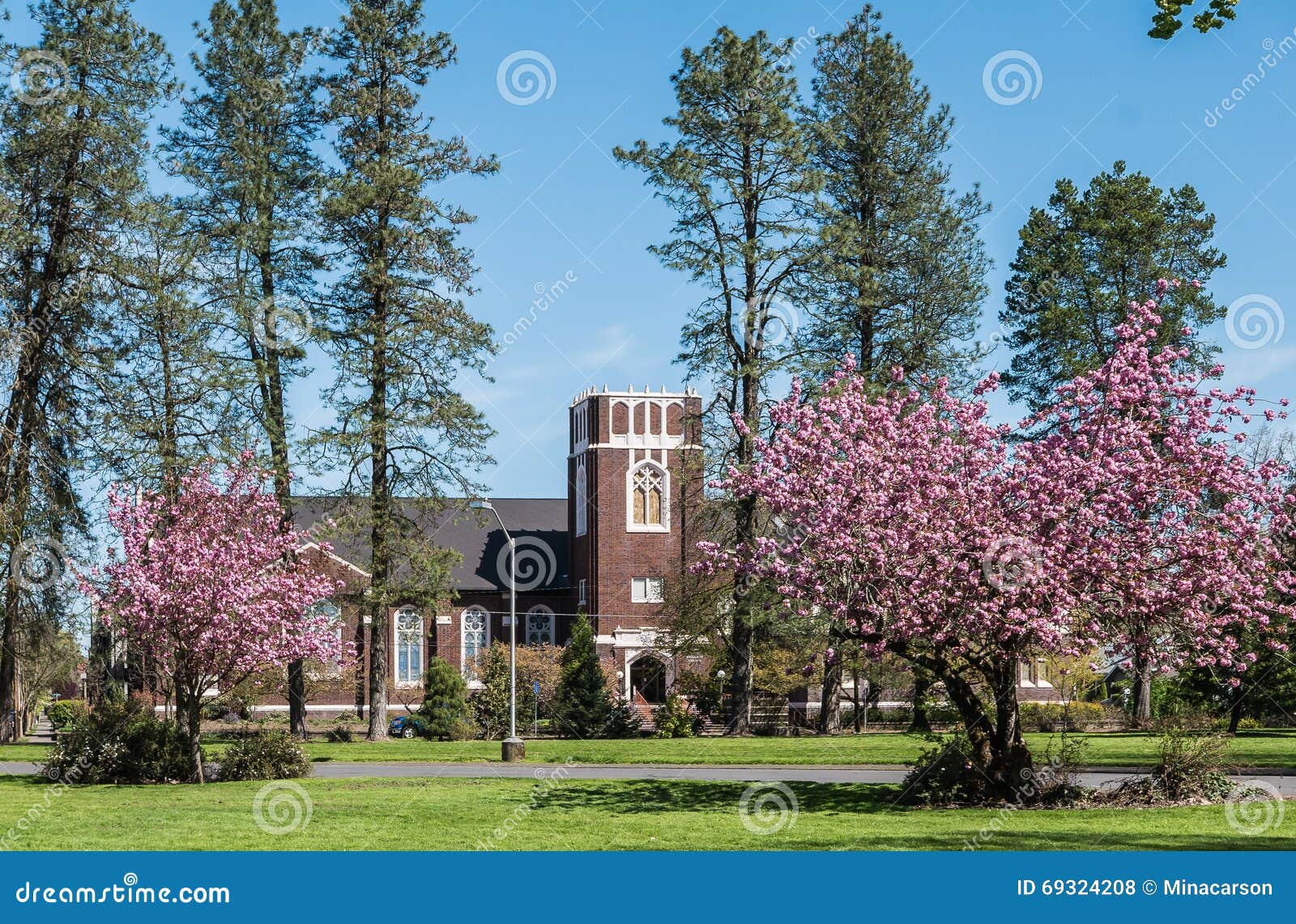 Hot Hot Hot - Page 10 Corvallis-oregon-first-united-methodist-church-springtime-april-viewed-blossoming-trees-69324208