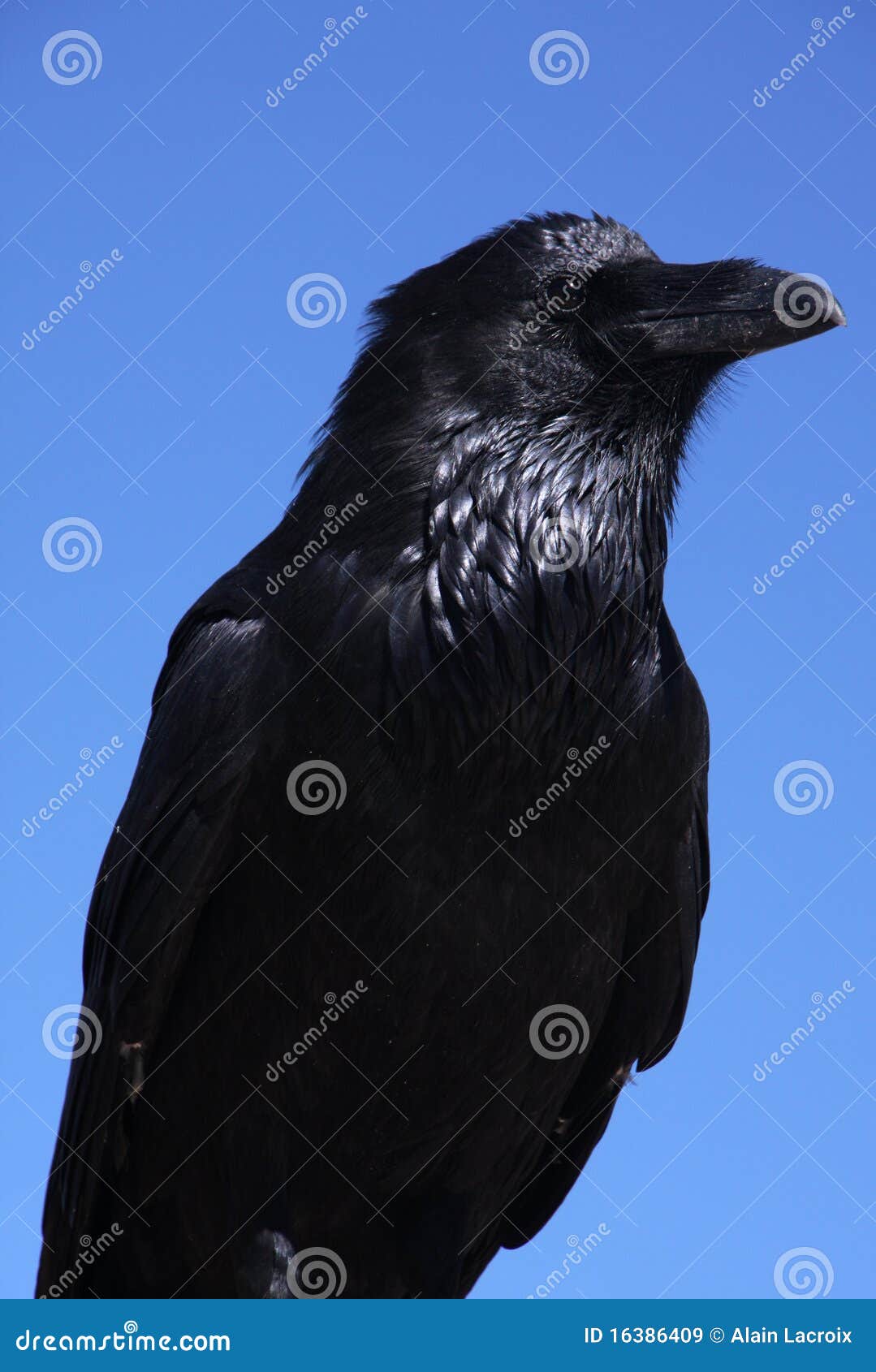 Empório das Bruxas (@emporiodasbruxas) • Instagram photos and videos, image size:1079x1690