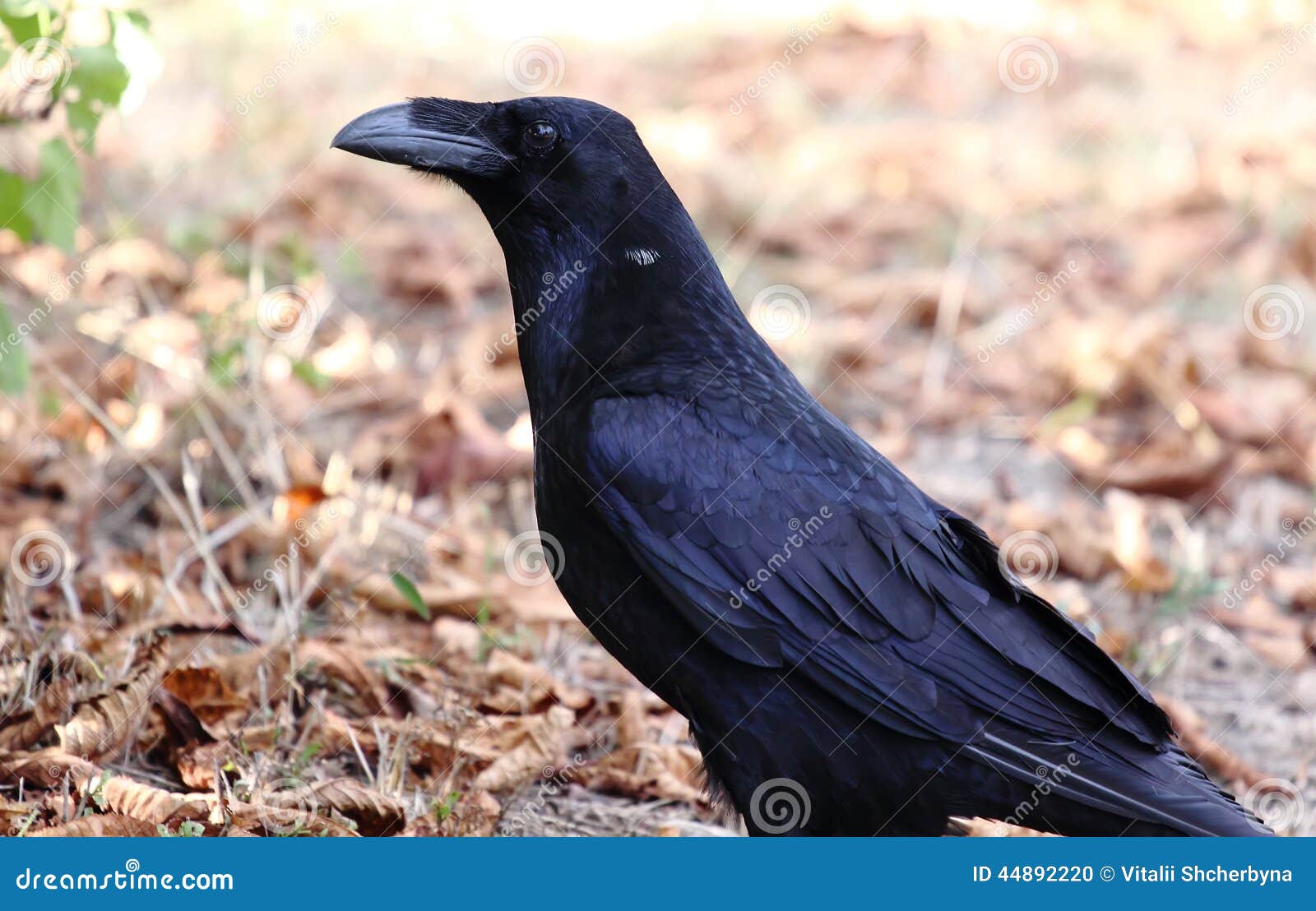 Guia de Viagem de Guilin 2026: Picos Cársticos, Rios e Cultura, image size:1600x1108