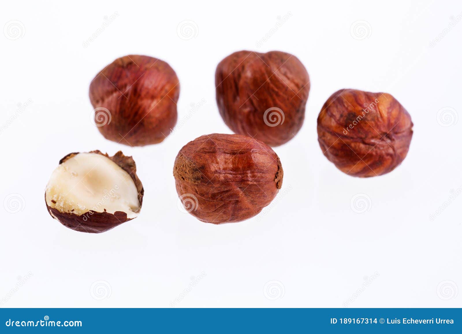 Corylus Avellana Hazelnut Nuts, Organic Dry Fruit Stock Photo Image