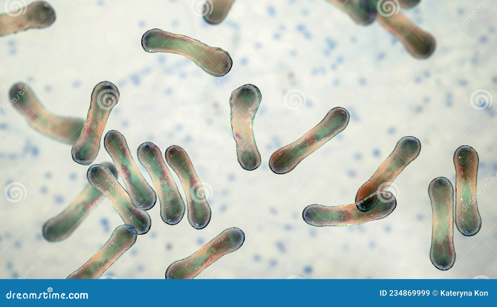 Corynebacterium Bacteria, Grampositive Rodshaped Bacterium that